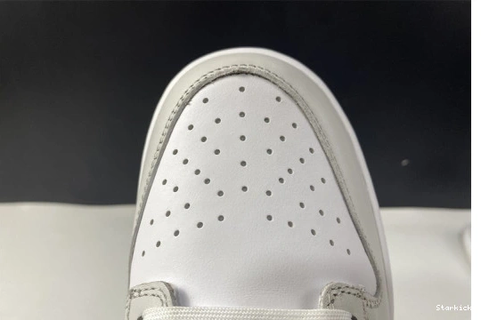 Dunk DD1503-103 "Photon Low Nike Dust" 1022